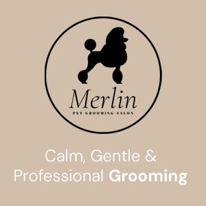 merlin-pet-grooming-salon