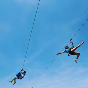 Zip Holland B.V. image 3