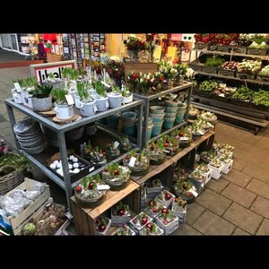 Bloembinderij van der Maat image 1