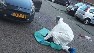 Politie houdt verdachte schietincident Westkousdijk aan