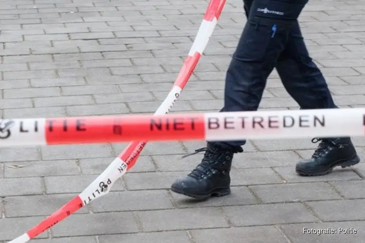 Bewoners opgeschrikt door overvallers
