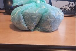 Aantreffen hennep leidt tot sluiting van pand in Waalhaven