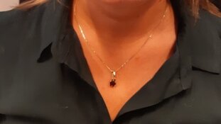 Politie houdt kettingrukker Rotterdam-Zuid aan