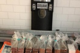 Douane vindt bijna 100 kilo cocaïne tussen fruit
