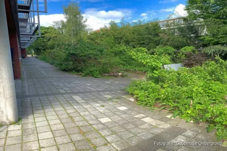 Voedselbostuinen op oude schoolpleinen