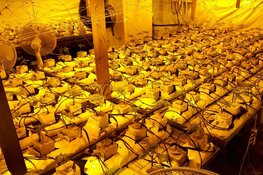 Wapens en Hennep in woning