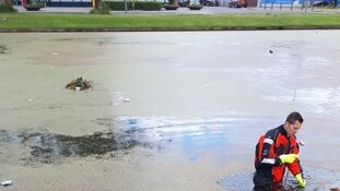 Drie aanhoudingen na bedreiging met machete