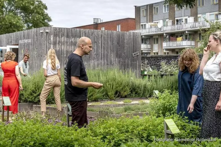 Ga er eens op uit op Zuid