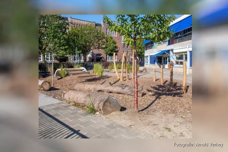 Subsidie voor groenblauwe schoolpleinen