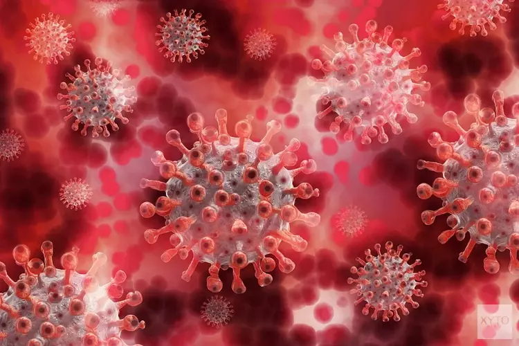 Maatregelen coronavirus Rotterdam