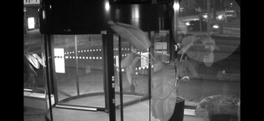 Wie schoot er op bruine Kia Rio op de Melanchthonweg?