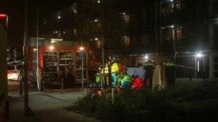 Verdachte steekincident Rozenburg aangehouden