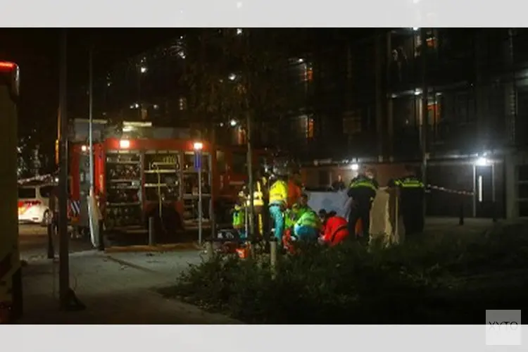 Verdachte steekincident Rozenburg aangehouden