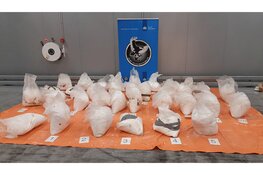 Vier aanhoudingen na onderschepping 875 kilo cocaïne