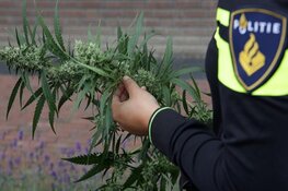 Aanhouding na vondst hennepkwekerij in Sliedrecht