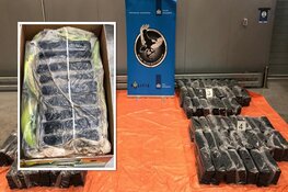 Douane onderschept 1100 kilo cocaïne tussen bananen