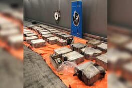 Douane onderschept 2773 kilo cocaïne in 6 dagen, 7 aanhoudingen verricht