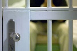 Jeugddetentie voor brandstichting Plaswijckpark