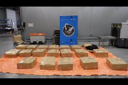 Douane onderschept 1159 kilo cocaïne in Rotterdamse haven