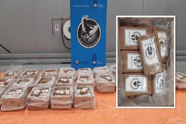 Douane onderschept 500 kilo cocaïne tussen bananen
