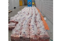 Politie vindt 4.000 kilo cocaïne in containers ananaspulp in haven Rotterdam
