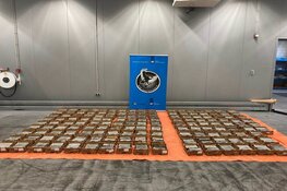 600 kilo cocaïne aangetroffen tussen lading mango's