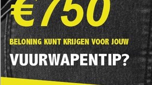 Twee vuurwapens en een aanhouding na inval in woning