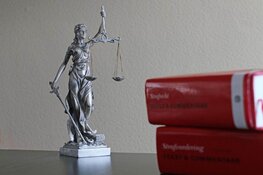 Vrouw aangehouden voor niet-ambtelijke corruptie in Rotterdamse haven