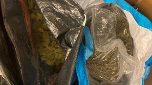 Tienduizenden euro’s en 15,5 kilo gedroogde henneptoppen gevonden tijdens actie naar growshop in Rotterdam Zuid