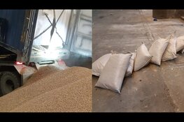 Douane onderschept 520 kilo cocaïne tussen bagasse