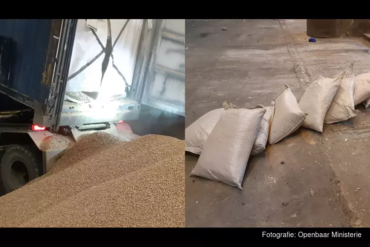 Douane onderschept 520 kilo cocaïne tussen bagasse