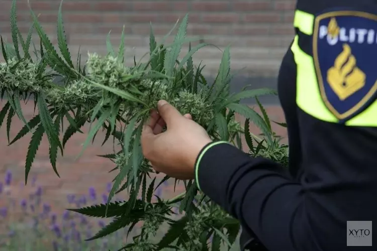 5 aanhoudingen na hennep- en tabak vondst in Bleiswijk