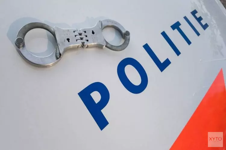 Aanhoudingen voor verkoop slagtand olifant