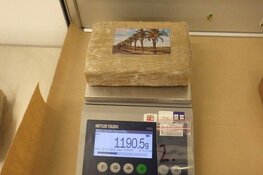 Douane onderschept 1686 kilo cocaïne in Rotterdamse haven