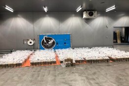 Cocaïnevondst in Rotterdamse haven leidt tot aanhoudingen in internationaal drugsonderzoek