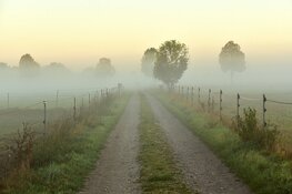 Week begint rustig, later mist, wind en buien