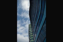 Online concurrentie ondernemend Rotterdam groter dan ooit