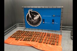 Douane vindt 106 kilo cocaïne in plankjes van pallets