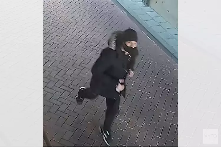 Gezocht: Wie herkent de dief?