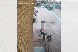 Gezocht: Wie herkent de dief?