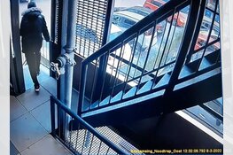 Gezocht: Wie herkent de dief?