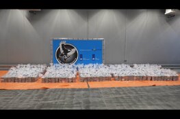 Douane onderschept in nog geen maand tijd bijna 5600 kilo cocaïne in Rotterdamse haven