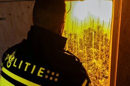Twee aanhoudingen na ontdekken hennepkwekerij Oud-Beijerland
