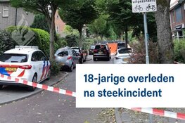 Jongen (18) overleden na steekincident Vlaardingen