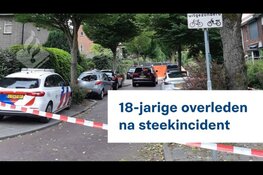 Verdachte dodelijk steekincident Vlaardingen heengezonden