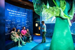 Zomer vol plezier bij Het Scheepvaartmuseum!