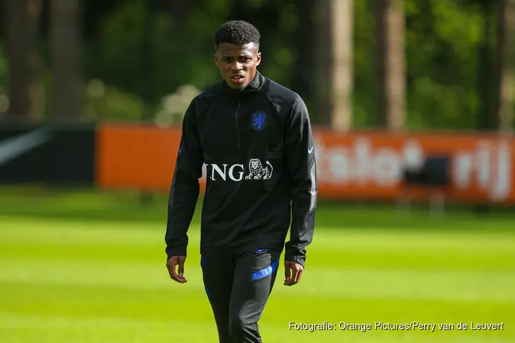 Feyenoord haalt Dilrosun binnen