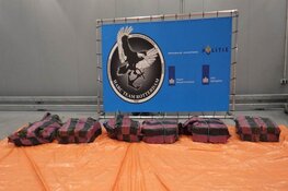 Douane vindt 300 kilo cocaïne tussen lading vismeel