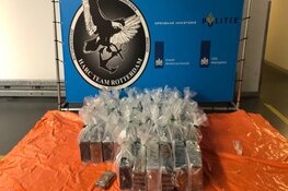 Douane onderschept twee partijen drugs in Rotterdam