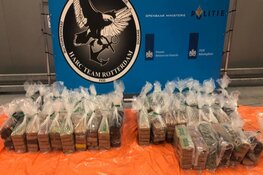 Douane onderschept twee partijen cocaïne in Rotterdamse haven